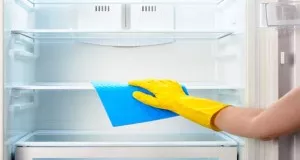 avfrosta frysen och rengöra kylskåpet är viktigt när du ska flytta